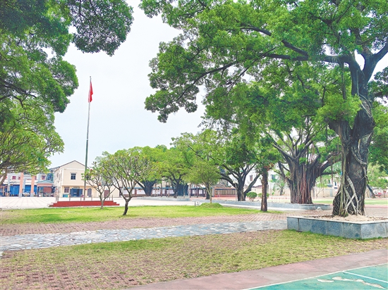 图为台山市越华中学和蓬江区紫茶丰雅小学。 图为台山市越华中学和蓬江区紫茶丰雅小学。