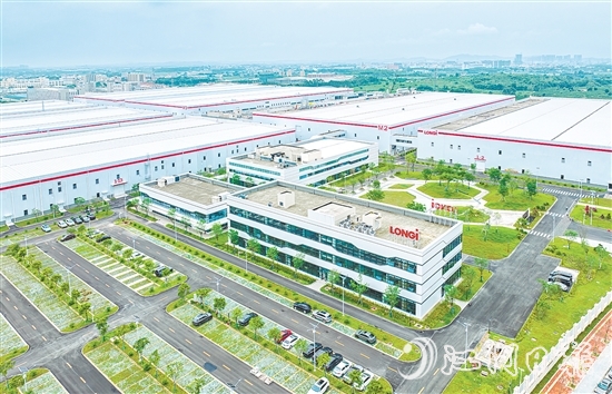 鹤山隆基绿能项目。 鹤山隆基绿能项目。