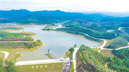 位于宅梧镇的源林生态乐园项目。宅梧镇供图 位于宅梧镇的源林生态乐园项目。宅梧镇供图