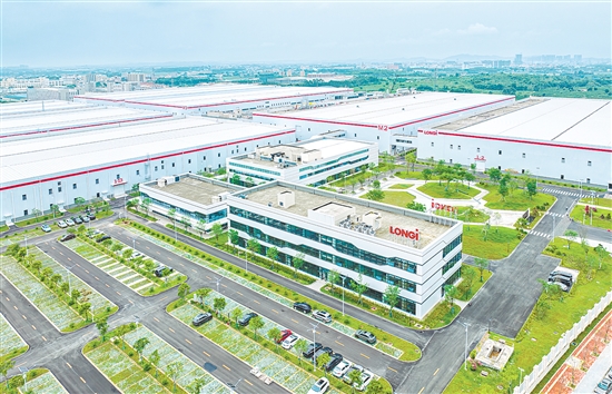 鹤山隆基绿能项目。 鹤山隆基绿能项目。