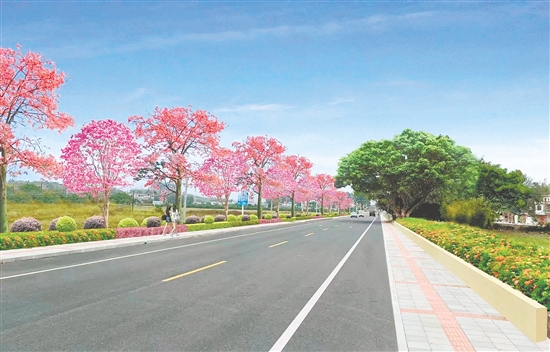 开平市以“繁花为饰、洁净为底”的城乡新貌，喜迎十五运会和残特奥会。