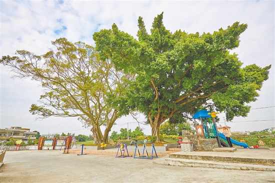 沙冲村完善基础设施建设，为村民营造更舒适的休闲空间。