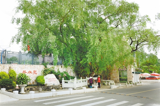 去年，在乡贤的大力支持下，对井水龙进行了修缮，周边铺了石板、种了绿植，以及装了抽水机及水龙头，方便村民取水。