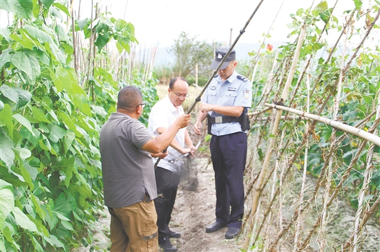 工作人员深入重点区域开展巡逻清网。