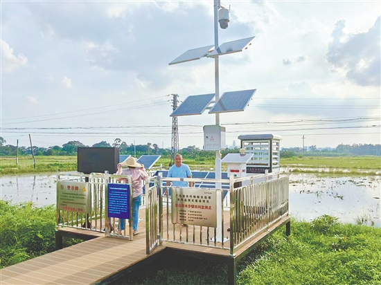 台山市着力打造全域覆盖的智能监测网络,让“慧眼”遍布田间地头。 台山市着力打造全域覆盖的智能监测网络,让“慧眼”遍布田间地头。