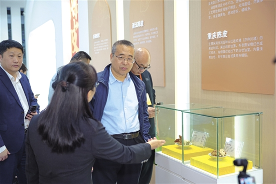 参与活动的嘉宾现场了解中国陈皮贸易中心。 参与活动的嘉宾现场了解中国陈皮贸易中心。