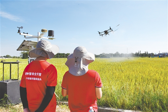 展望“十五五”，恩平市将围绕“产购储加销”全链条协同发力，不断擦亮农业特色产业品牌。