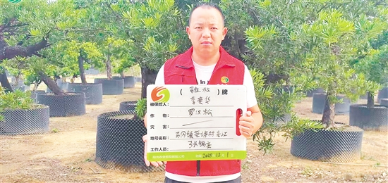 工作人员为种植户办理花卉苗木气象指数保险承保出单。 工作人员为种植户办理花卉苗木气象指数保险承保出单。