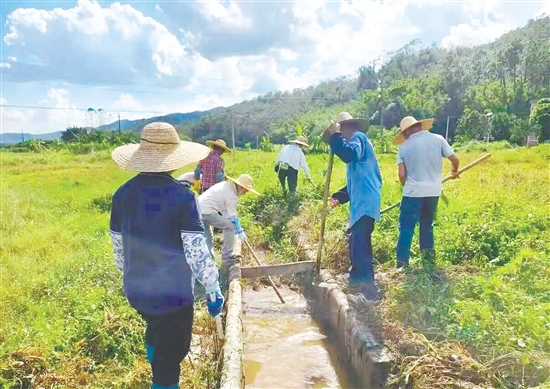 鹤城镇组织党员干部群众开展清淤工作。