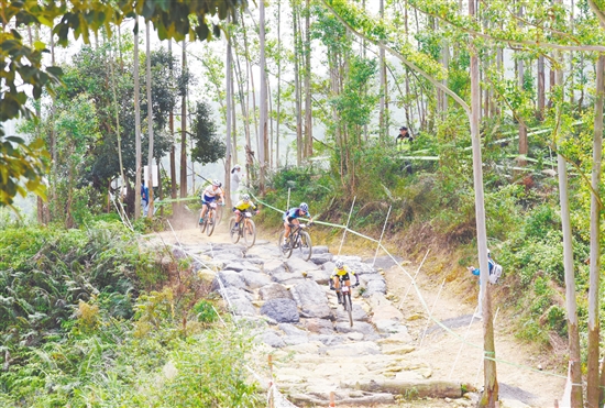 11月20日，第十五届全国运动会自行车（山地）比赛在江门恩平泉林黄金小镇圆满完赛。