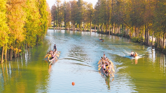 在礼乐礼联龙舟基地，冠军团队成员在龙舟上与礼乐当地龙舟健儿一起合力向前划桨，沉浸式体验“礼乐龙舟”这一省级非遗的独特魅力。谢杰华