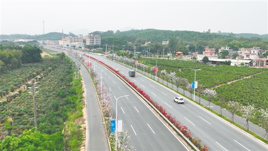 省道S270线鹤城至杜阮段扩建工程建成通车。