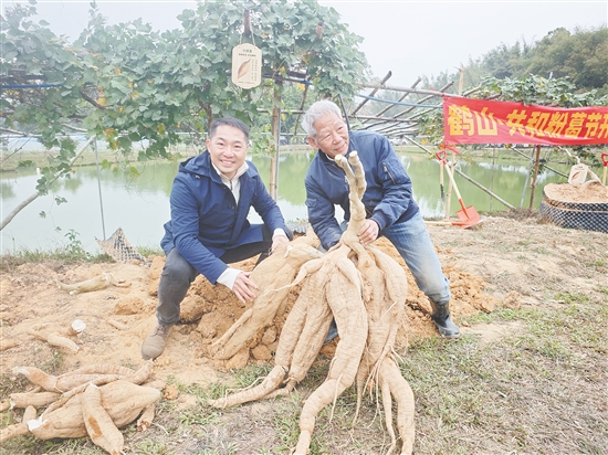 活动中，多条重量超过30公斤的粉葛破土而出，其中最重的一条达42.5公斤，被誉为“葛王”。张舜同