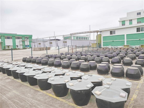 兰花酱油制作遵循传统工艺,晒池中的酱醅需历经120多天露天生晒。 兰花酱油制作遵循传统工艺,晒池中的酱醅需历经120多天露天生晒。