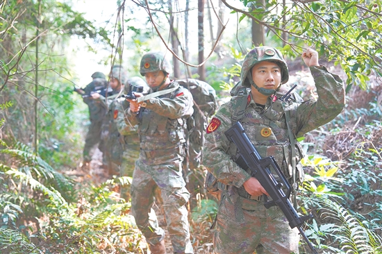 鹤山市人武部组织队员在林地模拟实战训练。