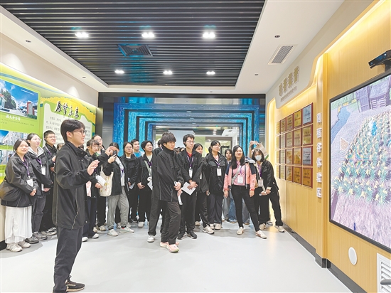 从传统农业到现代食品“智造”，台山市为港澳学生提供了立体的产业认知课堂。