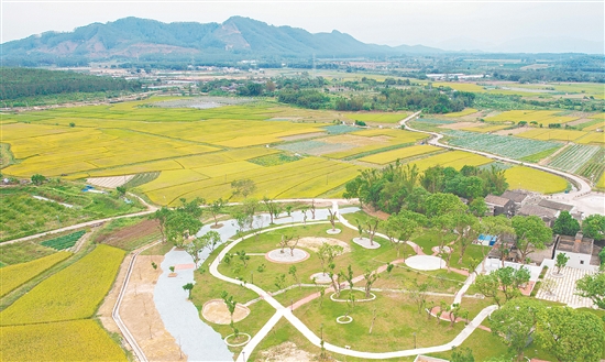 冲蒌镇深入开展农村人居环境整治,推进“三清三拆三整治”,实现“拆后即建、拆建同步”,塑造特色乡村风貌。 冲蒌镇深入开展农村人居环境整治,推进“三清三拆三整治”,实现“拆后即建、拆建同步”,塑造特色乡村风貌。