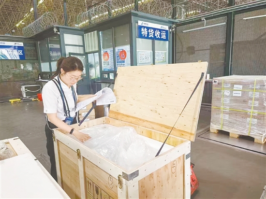 瑞鳞水产一批精心挑选的优质锦鲤被妥善封装后,完成相关手续后将被运往欧盟。受访者供图 瑞鳞水产一批精心挑选的优质锦鲤被妥善封装后,完成相关手续后将被运往欧盟。受访者供图