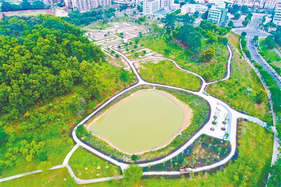 位于沙坪街道的鹤山文化中心绿美示范点变得越来越靓丽。 位于沙坪街道的鹤山文化中心绿美示范点变得越来越靓丽。