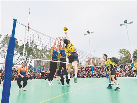 在台山市三合镇，球员腾空扣杀，攻防激烈，为观众呈现了一场精彩的排球赛事，让新春的喜庆氛围在运动的激情中愈发热烈。