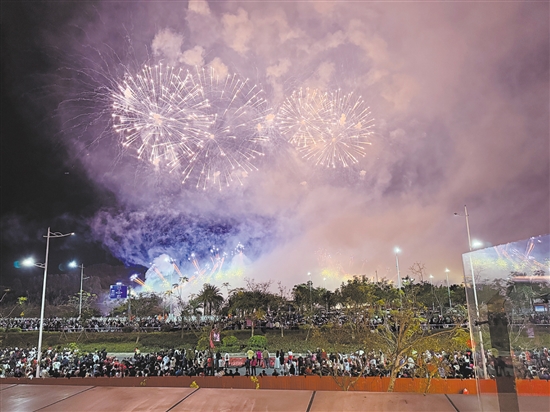 昨晚，在台山市金星湖湿地公园，璀璨的烟花照亮了夜空。