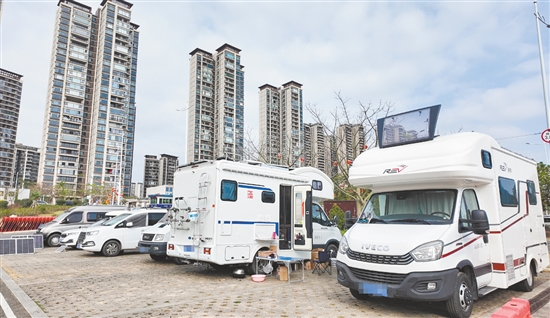 在台城金星湖湿地公园生态停车场，多辆房车有序停放。