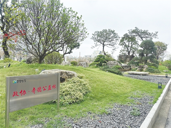 作为设有“政协之家”的企业，奇德新材打造“政协·奇德公益林”。