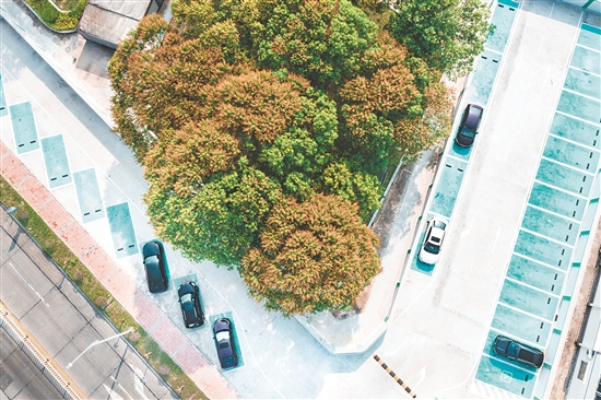 改造后的都斛主街既保留了城镇烟火气，又兼具现代宜居功能。这是都斛主街停车场。