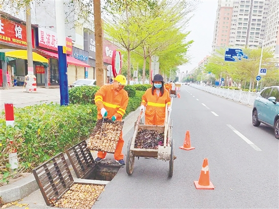 台山市城市管理和综合执法局围绕环境卫生整治、病媒生物防制等重点任务，聚焦环卫、园林、排水、市政、燃气五大行业领域，全面开展治理行动。