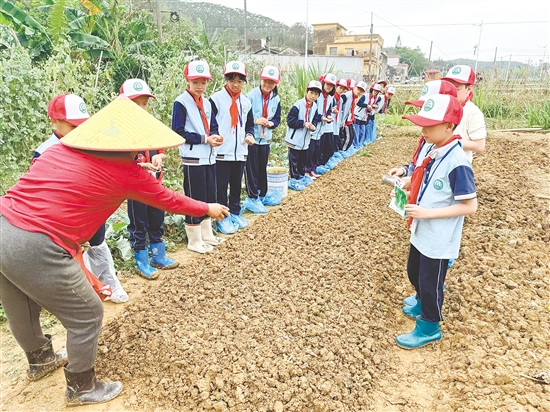 农技人员为学生们教学，一边示范插秧动作，一边强调插秧的关键要点。