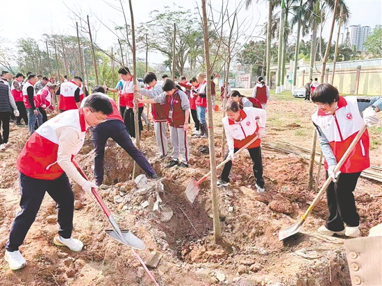 恩平市11个镇（街）全域联动、同步发力，累计栽种火山榕、香樟、落羽杉等乡土适生苗木2300多棵，全力实现“栽一棵、活一棵，种一片、成一片”的建设成效。
