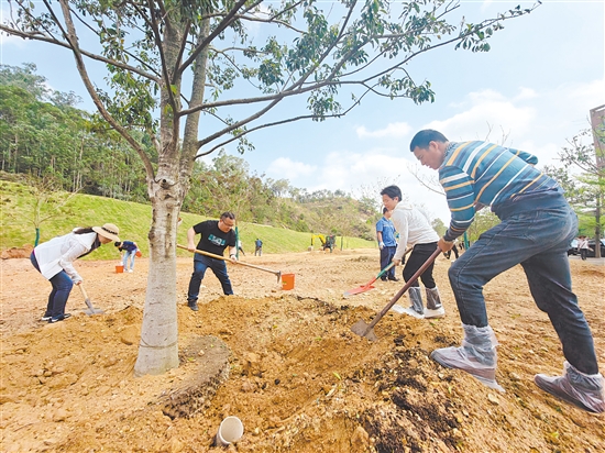 2026年“同心林”义务植树活动现场，各界代表在江门种下一片新绿。郭永乐