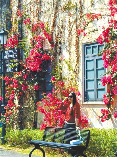 3月的江门变身“花花世界”。