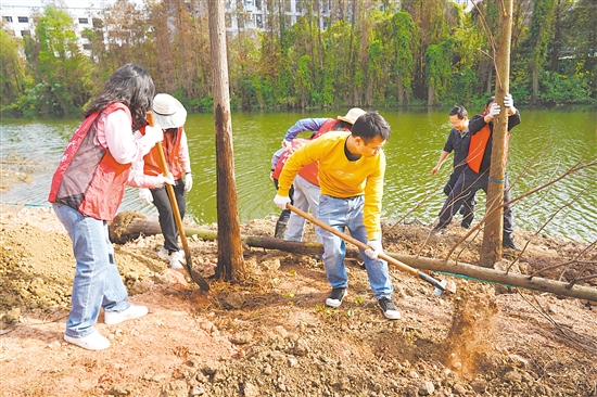 植树活动现场，党员干部共同种下落羽杉，为江海增绿，共绘绿美生态新画卷。