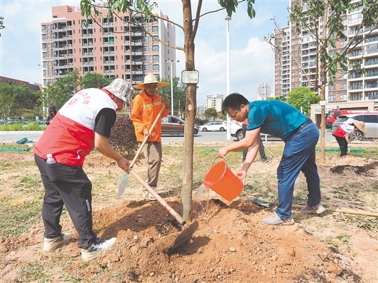 参加活动人员落铲培土、扶苗浇水，合力为台山添上新绿。