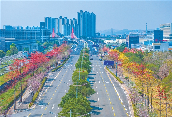 江海区持续推进基础设施建设，进一步完善交通网络。图为金瓯路西延线。