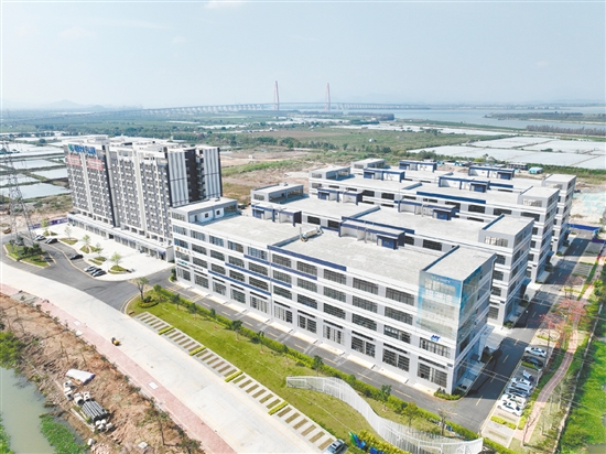 银洲湾电子信息园是2026年省重点建设项目。