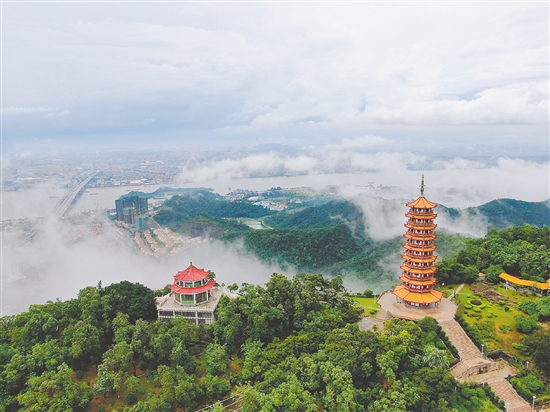 大雁山风景区。吴兆民