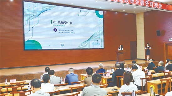 对接会上，一批事关台山未来高质量发展的重点项目集中亮相。