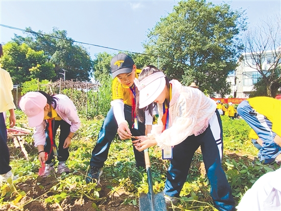 双桥小学积极用好学校劳动实践基地“藕耕苑”，在劳动教育中融入德育。