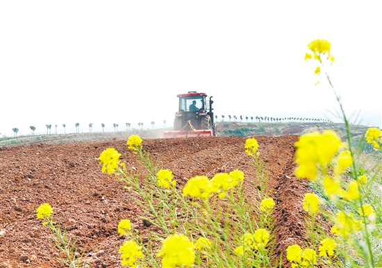 图为4月7日，河南省洛阳市汝阳县刘店镇二郎村村民在驾驶农机进行耕田作业。