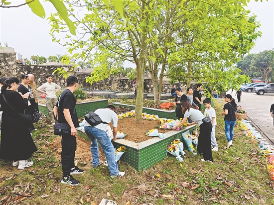 开平市金山墓园举办树葬活动。