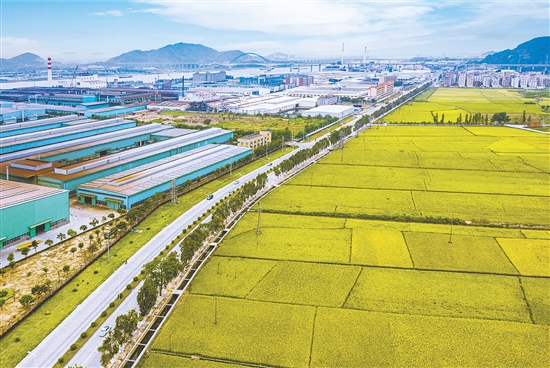 沙堆镇聚力推动金门工业园区基础设施升级改造，进一步提升园区的承载力和吸引力。