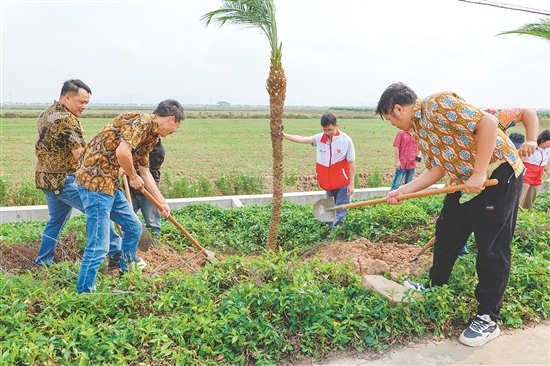 台山市各部门、各镇（街）抢抓植树黄金期，一体推进绿美工作。