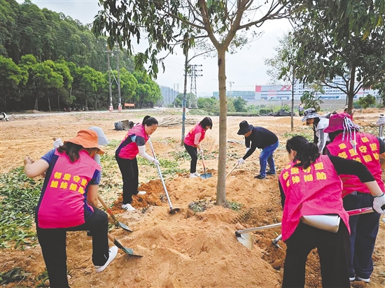 大家分工协作，种下新绿。