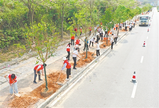 杜阮南路新栽种的树苗挺拔茁壮,为城市道路披上绿装。郭永乐 杜阮南路新栽种的树苗挺拔茁壮,为城市道路披上绿装。郭永乐