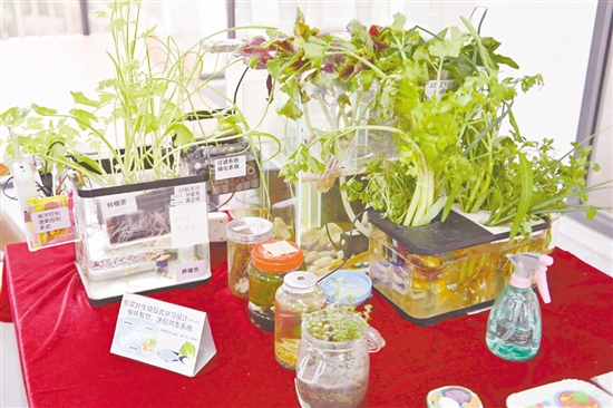 项目式学习成果琳琅满目。