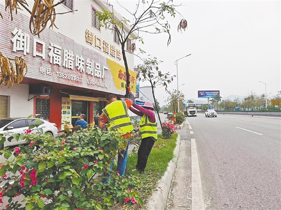 址山镇做好路边绿化树木的管养工作。