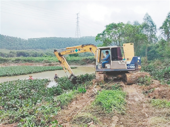 鹤山针对“水边”开展水域综合清洁与生态提质工作。