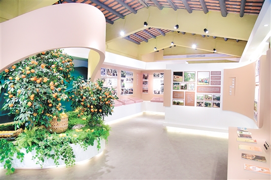 丽宫陈皮庄园内建有新会柑种植博物馆。